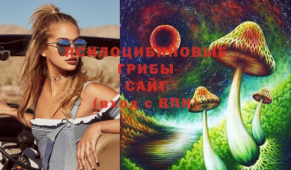 круглые Алзамай