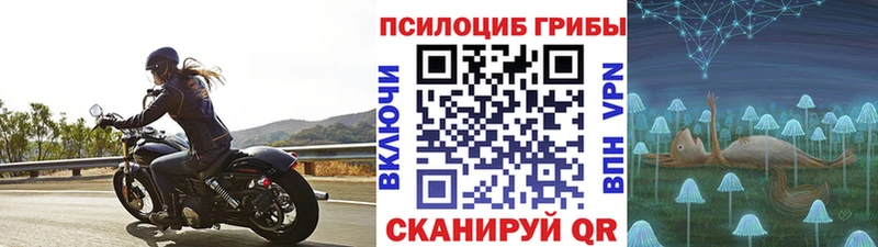 Псилоцибиновые грибы ЛСД Еманжелинск